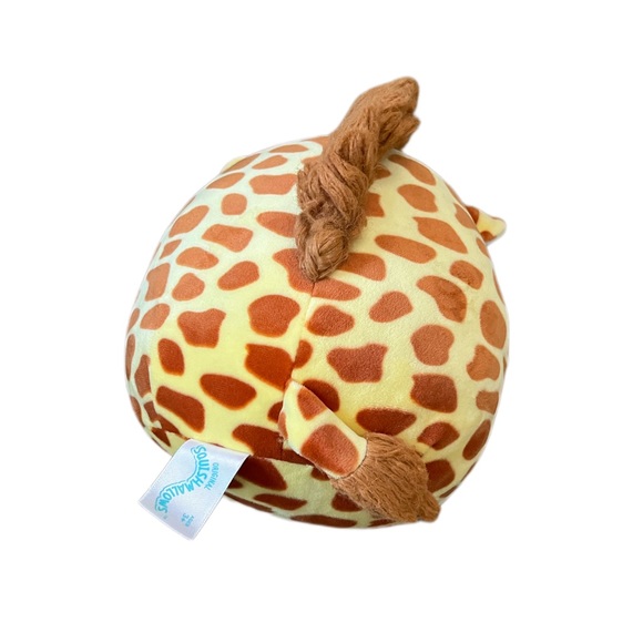 squish - Picture 2 of 2